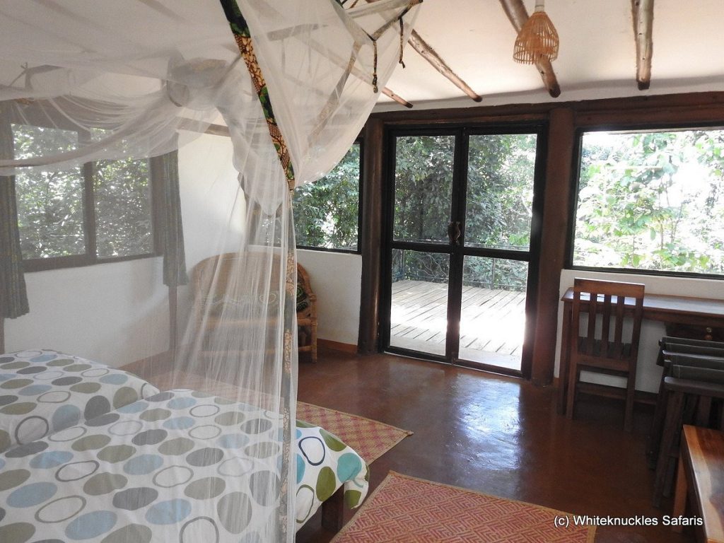 Nkima Forest Lodge