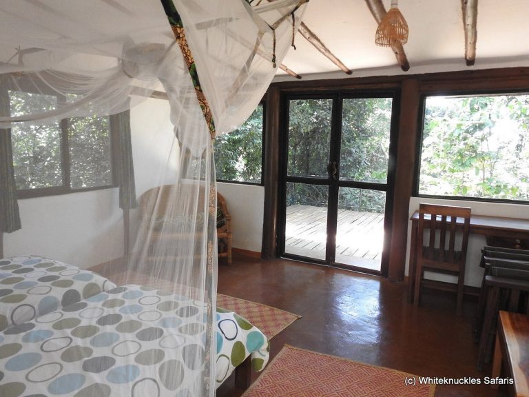 Nkima Forest Lodge