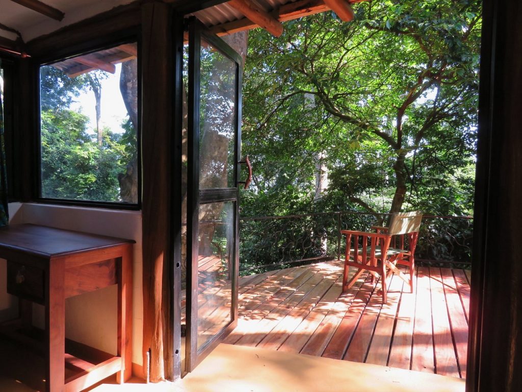 Nkima Forest Lodge